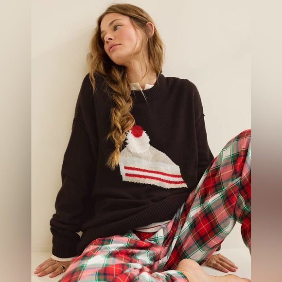 aerie Sweaters - NWT Aerie Softest Luxe Crew Oversized Sweater Brown with Slice of Cake